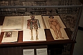 Mostra Pop-App Lab_083